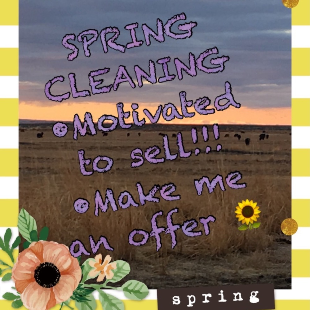 🌻Spring Cleaning 🌻